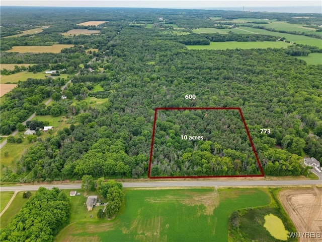 0 Carmen Rd, Somerset, NY 14012 - photo 9