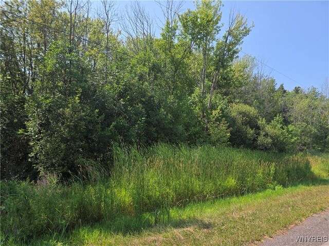0 Carmen Rd, Somerset, NY 14012 - photo 3