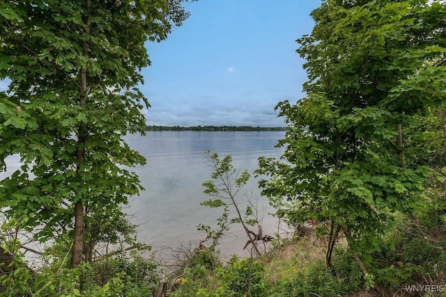 1065 W River Rd, Grand Island, NY 14072 - water view