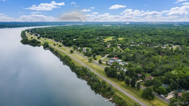 1065 W River Rd, Grand Island, NY 14072 - drone / aerial view of a heavily wooded area and a nearby body of water