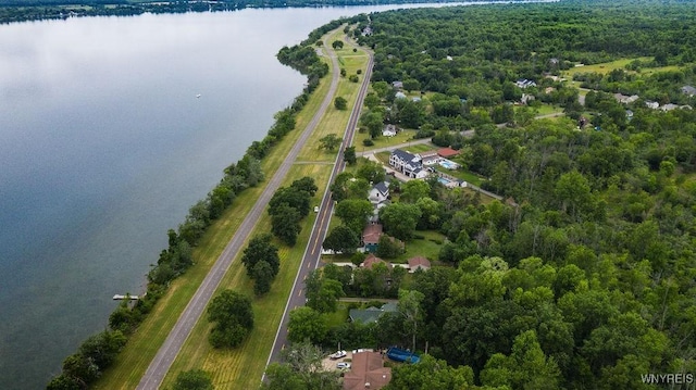 1065 W River Rd, Grand Island, NY 14072 - aerial view of property's location featuring a large body of water and a heavily wooded area