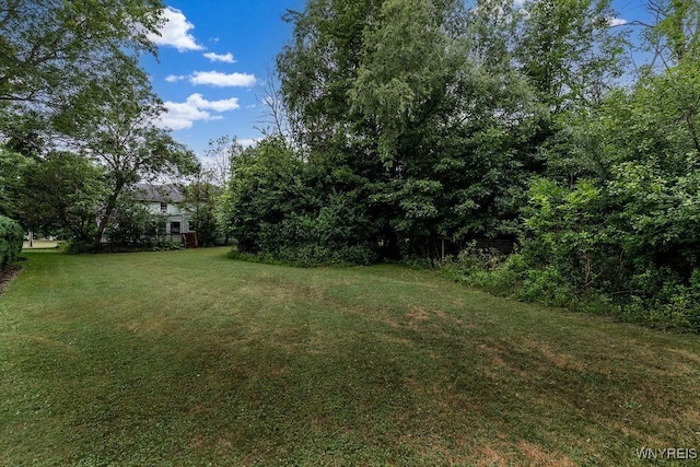 1065 W River Rd, Grand Island, NY 14072 - view of grassy yard