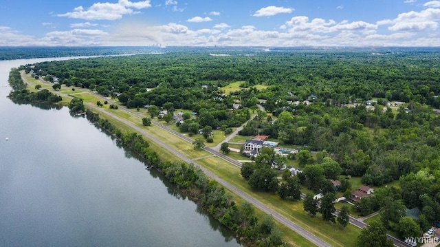 1065 W River Rd, Grand Island, NY 14072 - drone / aerial view of a heavily wooded area and a large body of water