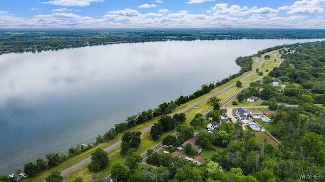 1065 W River Rd, Grand Island, NY 14072 - drone / aerial view of a large body of water