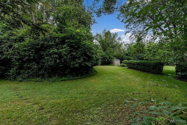 1065 W River Rd, Grand Island, NY 14072 - view of green lawn