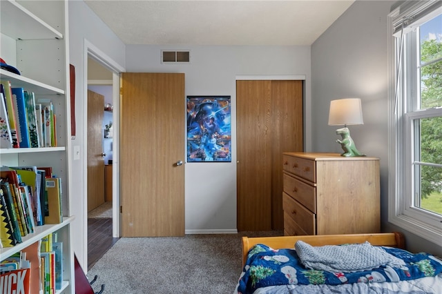 111 Farrell Road Ext, Henrietta, NY 14586 - view of carpeted bedroom