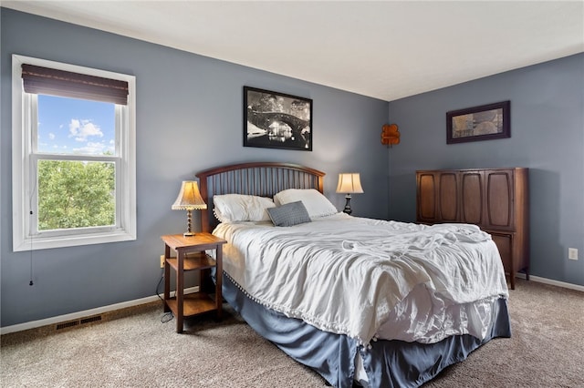 111 Farrell Road Ext, Henrietta, NY 14586 - bedroom with carpet and baseboards
