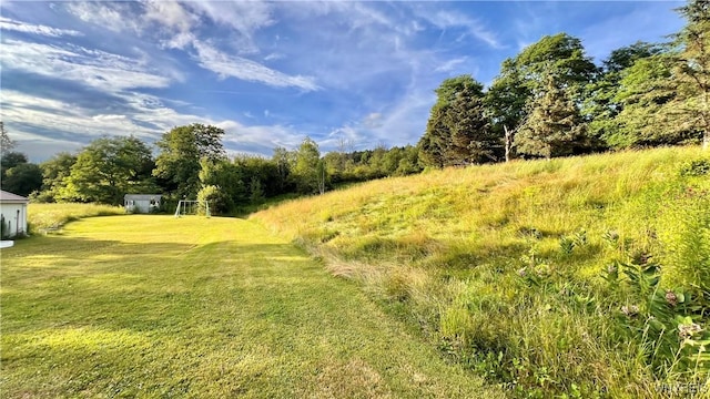 7320 E Flats Rd, East Otto, NY 14729 - view of yard
