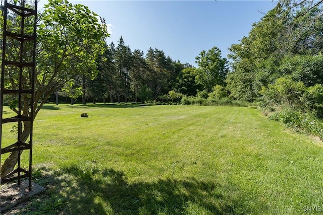 61 E Church St, Adams, NY 13605 - photo 50