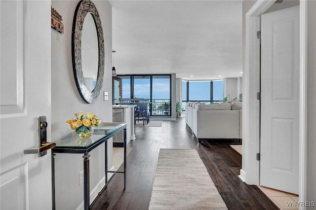 803 Admirals Walk Unit 803, Buffalo, NY 14202 - hallway featuring dark wood finished floors and floor to ceiling windows