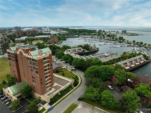 803 Admirals Walk Unit 803, Buffalo, NY 14202 - bird's eye view of a large body of water