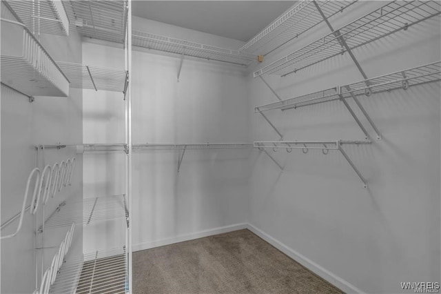 803 Admirals Walk Unit 803, Buffalo, NY 14202 - walk in closet featuring carpet floors