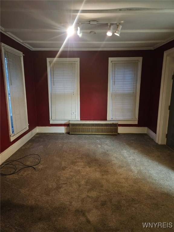 184 Goundry St, North Tonawanda, NY 14120 - unfurnished room featuring carpet, radiator heating unit, crown molding, and rail lighting