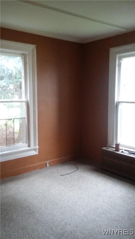 184 Goundry St, North Tonawanda, NY 14120 - carpeted empty room with healthy amount of natural light and radiator