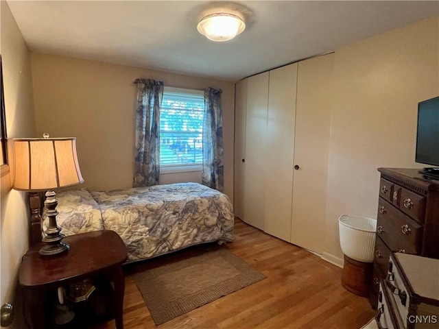 206 Wembridge Dr, Dewitt, NY 13057 - bedroom featuring light wood-style floors