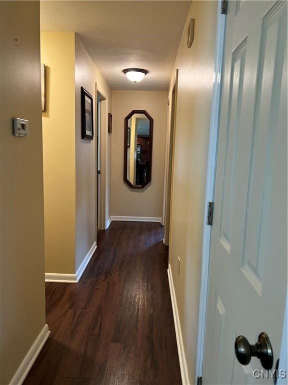 206 Wembridge Dr, Dewitt, NY 13057 - hall featuring dark wood finished floors and baseboards