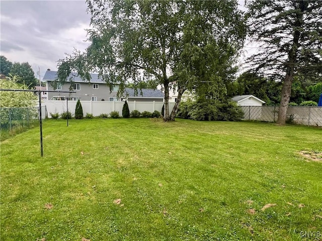 206 Wembridge Dr, Dewitt, NY 13057 - view of yard