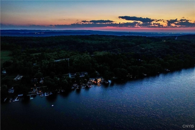 2090 Sunset Ln, Cazenovia, NY 13035 - photo 50