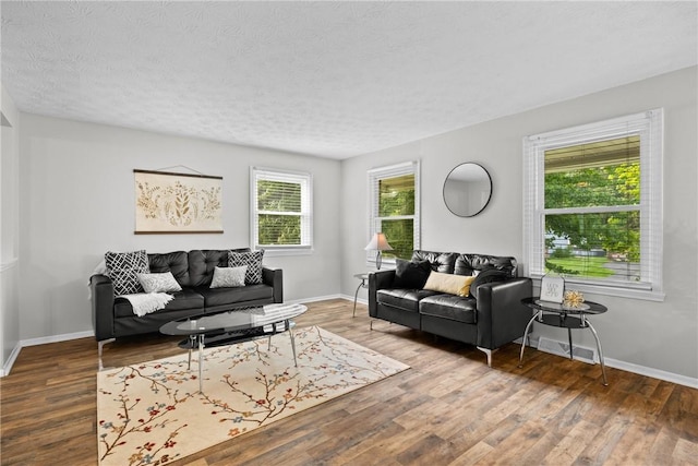 911 Copperkettle Rd, Webster, NY 14580 - living room featuring wood finished floors and a textured ceiling