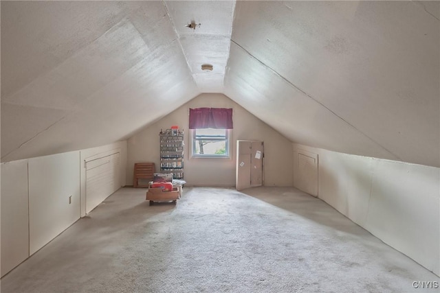 217 Melrose Ave, Camillus, NY 13219 - additional living space with carpet floors and vaulted ceiling