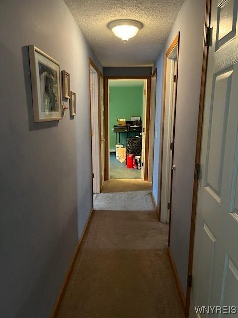 208 Angle Rd, West Seneca, NY 14224 - hallway with a textured ceiling and carpet floors
