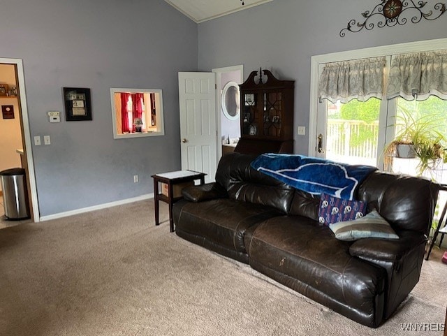 208 Angle Rd, West Seneca, NY 14224 - living room with carpet and high vaulted ceiling