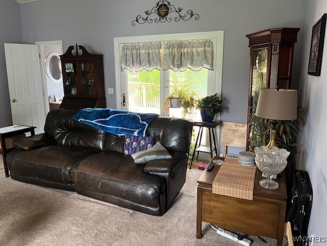 208 Angle Rd, West Seneca, NY 14224 - living room featuring carpet flooring