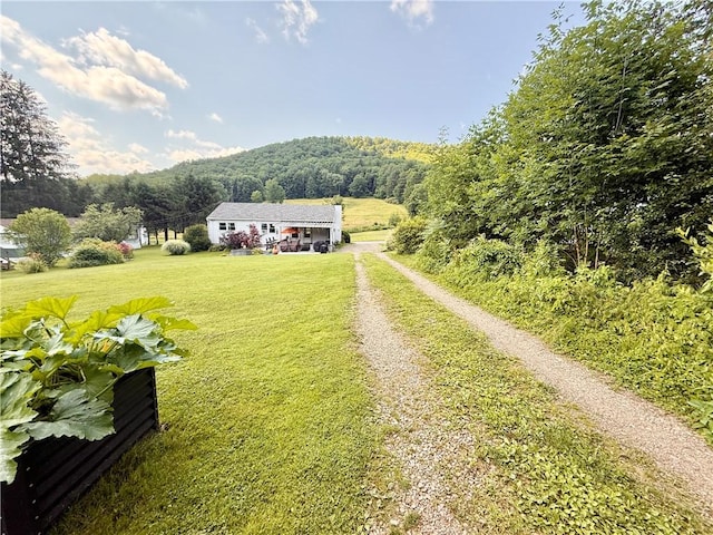 44 Patterson Ln, Foster Town, PA 16701 - photo 5