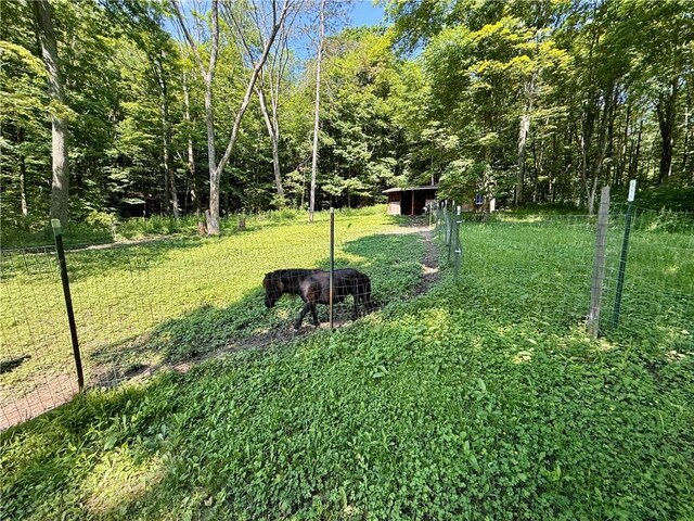 44 Patterson Ln, Foster Town, PA 16701 - photo 41