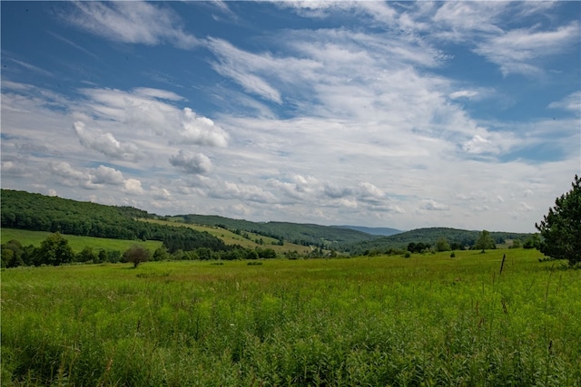 2690 Freer Hollow Rd, Franklin, NY 13755 - photo 2