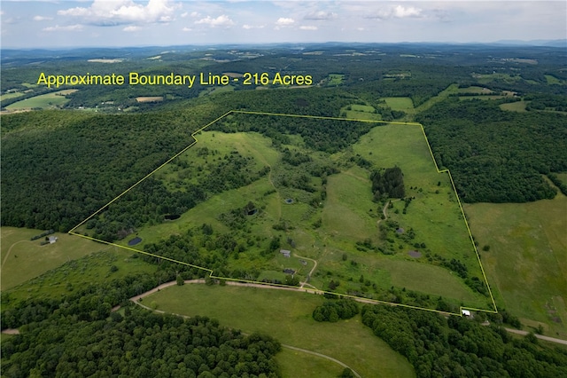 2690 Freer Hollow Rd, Franklin, NY 13755 - photo 5
