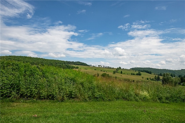 2690 Freer Hollow Rd, Franklin, NY 13755 - photo 28