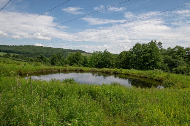 2690 Freer Hollow Rd, Franklin, NY 13755 - photo 29