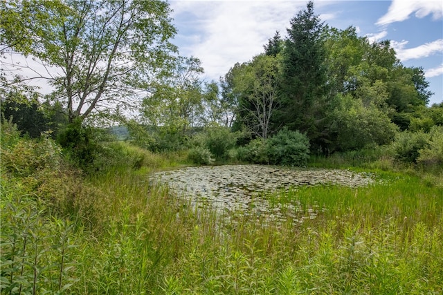 2690 Freer Hollow Rd, Franklin, NY 13755 - photo 34