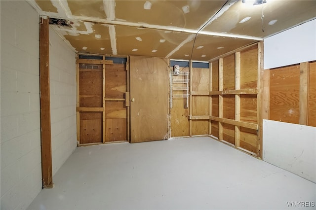 145 Charter Oaks Dr Unit 2, Amherst, NY 14228 - view of storage