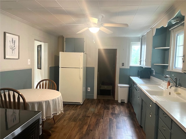73 Platt St, Hornell, NY 14843 - kitchen with freestanding refrigerator, crown molding, ceiling fan, healthy amount of natural light, and dark wood-style floors