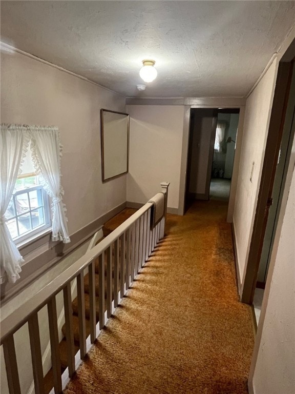 73 Platt St, Hornell, NY 14843 - hallway featuring carpet floors and a textured ceiling