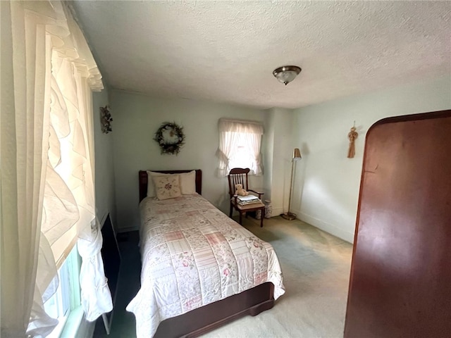 73 Platt St, Hornell, NY 14843 - bedroom with a textured ceiling and carpet flooring