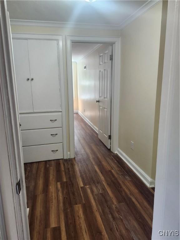 127 Austin Ave, Syracuse, NY 13207 - hall with dark wood finished floors and ornamental molding