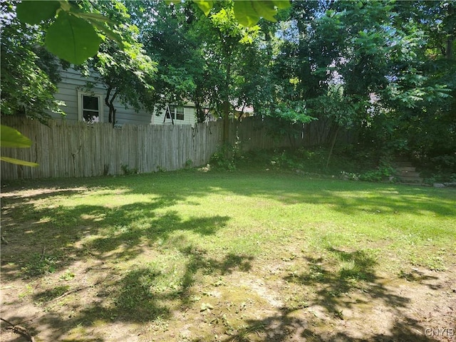 127 Austin Ave, Syracuse, NY 13207 - view of yard