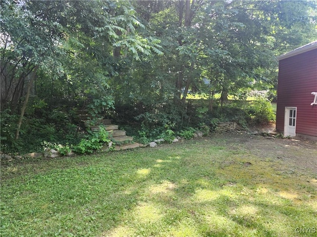 127 Austin Ave, Syracuse, NY 13207 - view of grassy yard