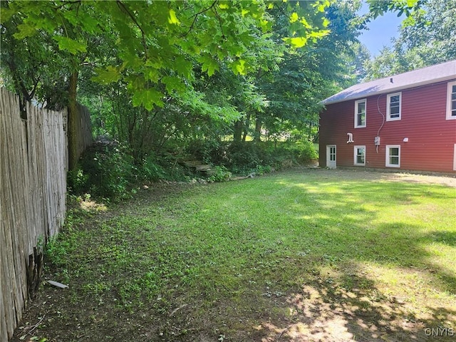 127 Austin Ave, Syracuse, NY 13207 - view of yard