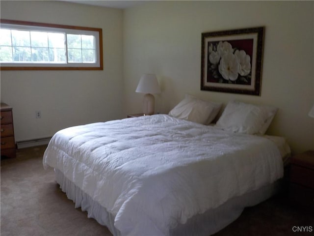 3730 Floridaville Rd, Ira, NY 13033 - photo 37