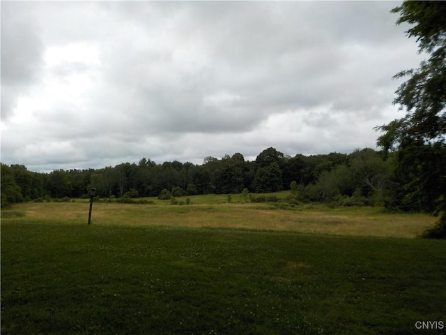 3730 Floridaville Rd, Ira, NY 13033 - photo 3