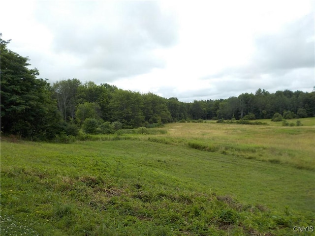 3730 Floridaville Rd, Ira, NY 13033 - photo 5