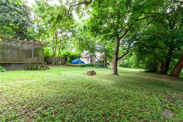 27 E Main St, Sodus, NY 14551 - view of yard