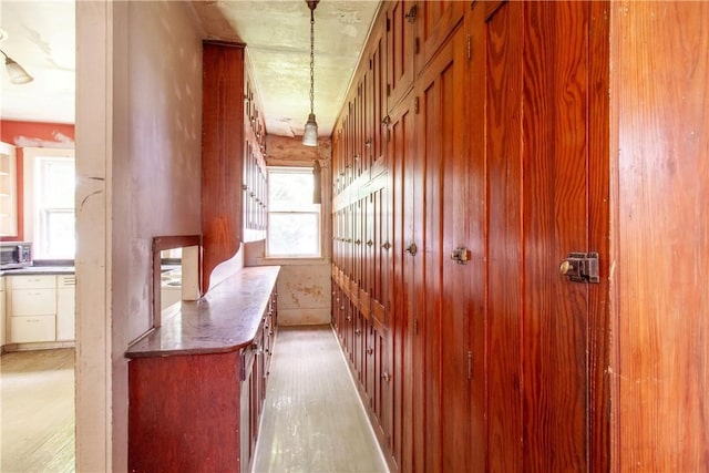 27 E Main St, Sodus, NY 14551 - hall with light wood finished floors