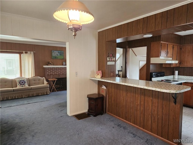 123 Roseland Ave, Ridgeway, NY 14103 - kitchen with under cabinet range hood, light countertops, white electric stove, a peninsula, and a brick fireplace