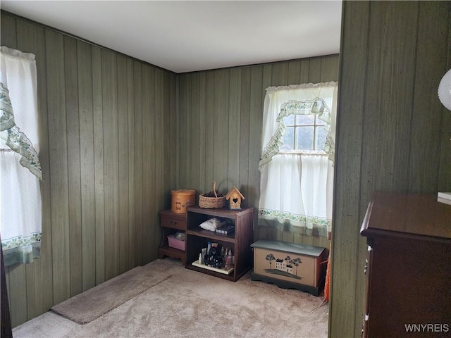 123 Roseland Ave, Ridgeway, NY 14103 - miscellaneous room featuring carpet and wood walls