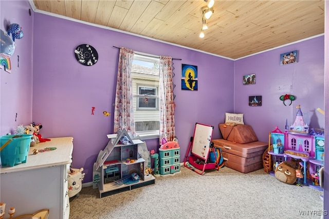 101 Barnsdale Ave, West Seneca, NY 14224 - playroom with carpet, crown molding, and wood ceiling